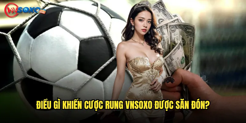 Điều Gì Khiến Cược rung Vnsoxo Được Săn Đón?